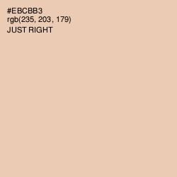 #EBCBB3 - Just Right Color Image
